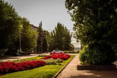 Фото: Вечный огонь, памятник, мемориал, Волгоград, площадь Павших Борцов —  Яндекс Карты