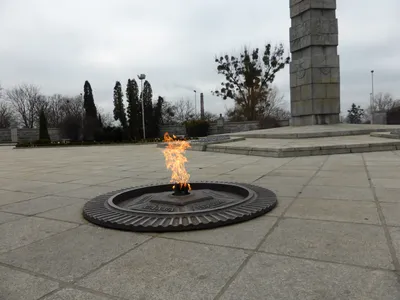 В Волгограде все туманно. | Пикабу