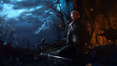 Ведьмак (The Witcher: Old World) и набор дополнений и аксессуаров к нему |  Купить настольную игру (обзор, отзывы, цена) в Игровед