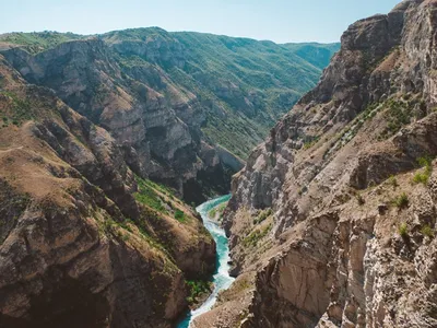 Вейнерский сад Махачкала фото фотографии