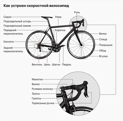 Как выбрать велосипед для мужчины по весу, росту и модели велосипеда для  езды по городу и за городом - советы ВелоСтраны