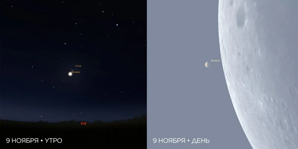 Зловещий близнец земли. Венера | Ram Ba | Дзен Зловещий близнец земли. Венера | Ram Ba | Дзен