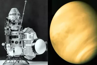 Покрытие Венеры Луной 9 ноября 2023: как увидеть и чего избегать | «Красный  Север»