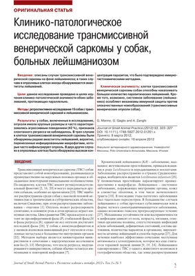 Опубликовано новое исследование трансмиссивной венерической саркомы псовых  | ВКонтакте