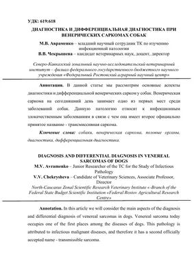 4 ЛАПКИ - Донецкий приют для бездомных животных - Из Архива Приюта «4  ЛАПКИ» от 23.04.2020 💉Стационар приюта 🐾«4 ЛАПКИ»🐾 🔘Лаки Ровно год  назад, Лаки попал в Донецкий приют 🐾«4 ЛАПКИ»🐾 Его