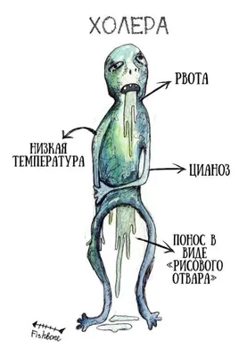 Инфекция в картинках