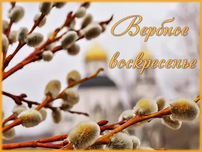 Вербное воскресенье | Открытки, Праздничные цитаты, Картинки