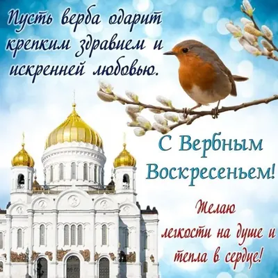 Вербное воскресенье 2021: какого числа в этом году православные отмечают  праздник?