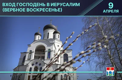 Вербное воскресенье: дата, традиции и запреты | 16.04.21 | Яркуб