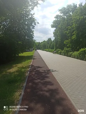 Верхний парк, Липецк - «Люблю этот старинный парк, где можно послушать  тишину под щебет птиц и вдохнуть полной грудью запах дубово-липовый аромат.  (куча фото)» | отзывы