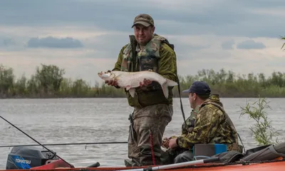 На Амуре все только для VIP рыбаков, ВЕРХОГЛЯД — рыба моей мечты. —  Сообщество «Охота и Рыбалка» на DRIVE2