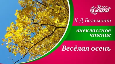 Осень - не самая веселая пора года, но однозначно - это удивительно  красивое время для ярких, сочных фотографий! Так что долой хандру и… |  Instagram