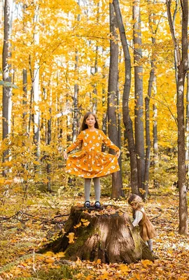 Foto Stock Осень. Осенние листья. Счастливая девушка. Девушка в джинсах  лежит на осенних листьях и смотрит в небо. Счастье, отдых, настроение,  уикенд | Adobe Stock