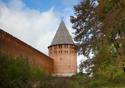 Латексные воздушные шары «Веселуха» Хром — купить оптом | Интернет-магазин  «БРАВО»