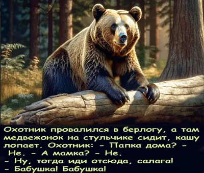 смешныекартинки #позитив #длянастроения #мемы #юмор #прикол #смех #позитив  #сарказм #хохма #ржака #umor_mix | Instagram