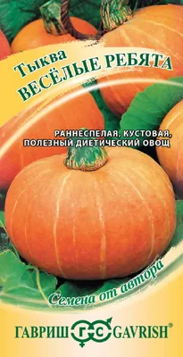 Настольная игра Веселые рептилии ZYB-B2889 купить в Новосибирске - интернет  магазин Rich Family