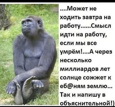 Кто сказал, что на работе сложно и не весело? Смешные картинки про работу |  Дима без интима | Дзен