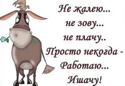 Здоров. Очень не хочу на работу. Можно не приходить? 09:01 Можно! Нехрен  тут делать!! ШЧТП ТАКМПЖ / работа :: картинка с текстом / смешные картинки  и другие приколы: комиксы, гиф анимация, видео, лучший интеллектуальный  юмор.