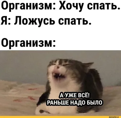 Юмор от подписчиков - смешные картинки и анекдоты | Бросаем пить вместе |  Дзен