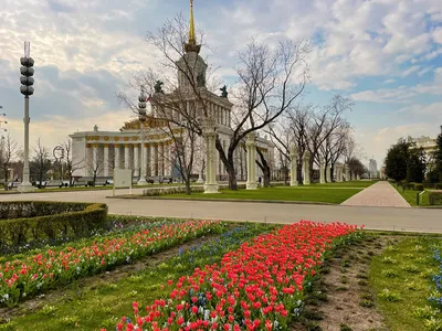 Топ-10 лучших событий на выходные 4 и 5 марта в Москве 2023