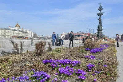 май / весна, Москва, парк Свиблово