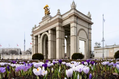 Весна!, Москва и область - торговый центр