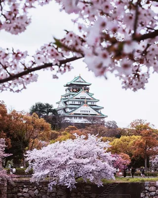 Shizuoka, Япония весной стоковое фото. изображение насчитывающей положение  - 107005872