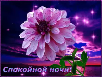 Картинки \"Спокойной Ночи!\" (3074 шт.)