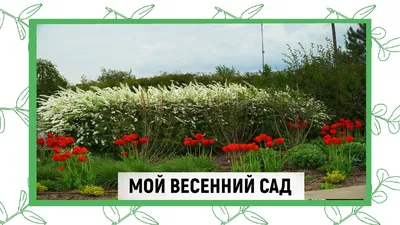 Букет цветов \"Весенний сад\", артикул: 333091889, с доставкой в город Москва  (внутри МКАД)