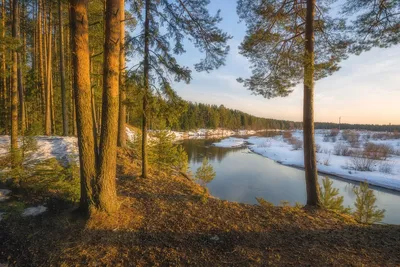 Шостка.INFO - Весенний вечер в любимом городе Автор фото:... | Facebook