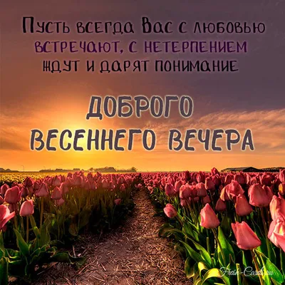 Photopodium.com - Весенний вечер.