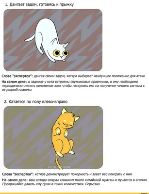 Весёлые картинки и мемы кота-одессита | Морган Кот | Дзен