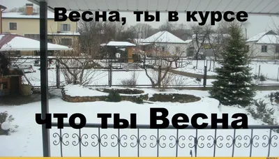 весна / смешные картинки и другие приколы: комиксы, гиф анимация, видео,  лучший интеллектуальный юмор.