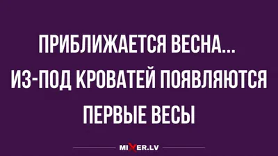 парикмахерская молодость - Хорошего настроения на весь день🤗🙃#весна #юмор😂  #настроениесупер #парикмахерскаямолодость | Facebook