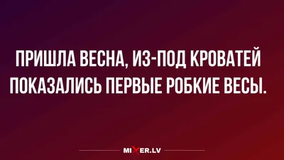 Статусы про весну Прикольные - 📝 Афоризмо.ru