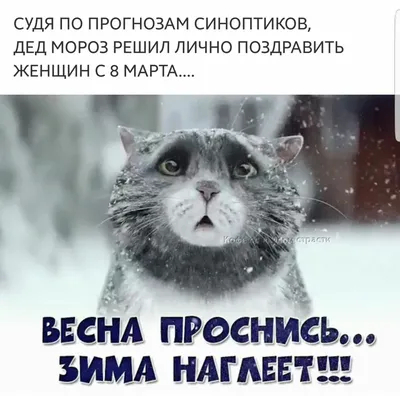 https://www.tiktok.com/@artdekoratorka/video/7343350623863065889