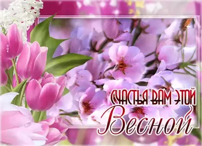 Весна в душе🌺: высказывания и цитаты, короткие