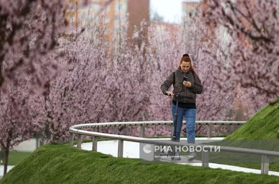 Весна в Краснодаре :: Анатолий – Социальная сеть ФотоКто