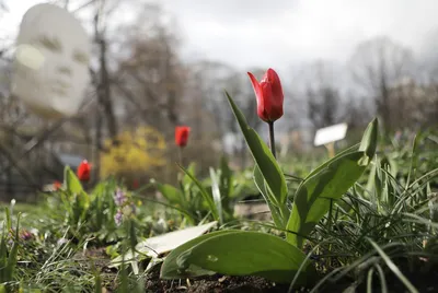 Картинка Весна в Москве » Москва » Города России » Города » Картинки 24 -  скачать картинки бесплатно