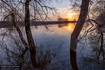 май / весна, Москва, парк Свиблово