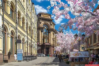 Агентство городских новостей «Москва» - Фотобанк