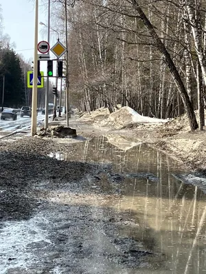 Весна В Новосибирске: последние новости на сегодня, самые свежие сведения |  НГС - новости Новосибирска