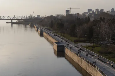 Синоптики рассказали, какой будет погода в Новосибирске в марте | Atas.info  | Дзен