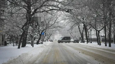 Астрономическая весна наступает в Новосибирске