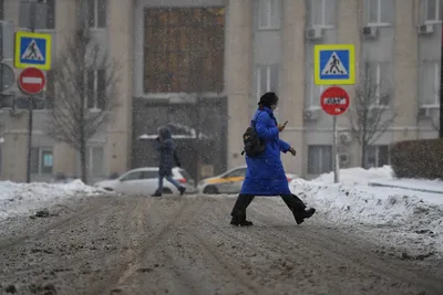 В Новосибирске замечены снегири, страдающие ожирением | ИА Красная Весна