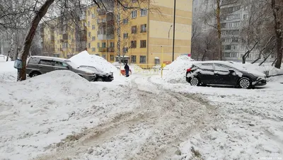 В Новосибирской области региональное правительство подало в отставку | ИА  Красная Весна