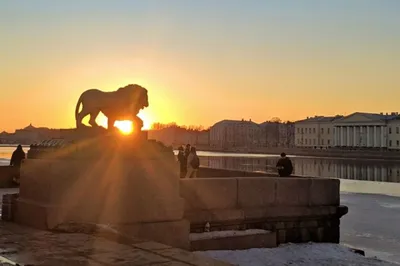 Нарядная весна в Санкт-Петербурге (4 дня+ ж/д или авиа) - Туры в Санкт- Петербург