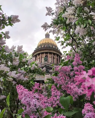 Смольный собор. Санкт-Петербург. Весна. Photographer Aleksandr Atoyan