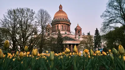 Особенности водных экскурсий в СПБ | Новостной портал СПб