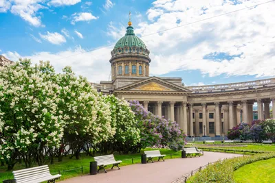 Весна в Санкт-Петербурге :: Татьяна Тарасова – Социальная сеть ФотоКто